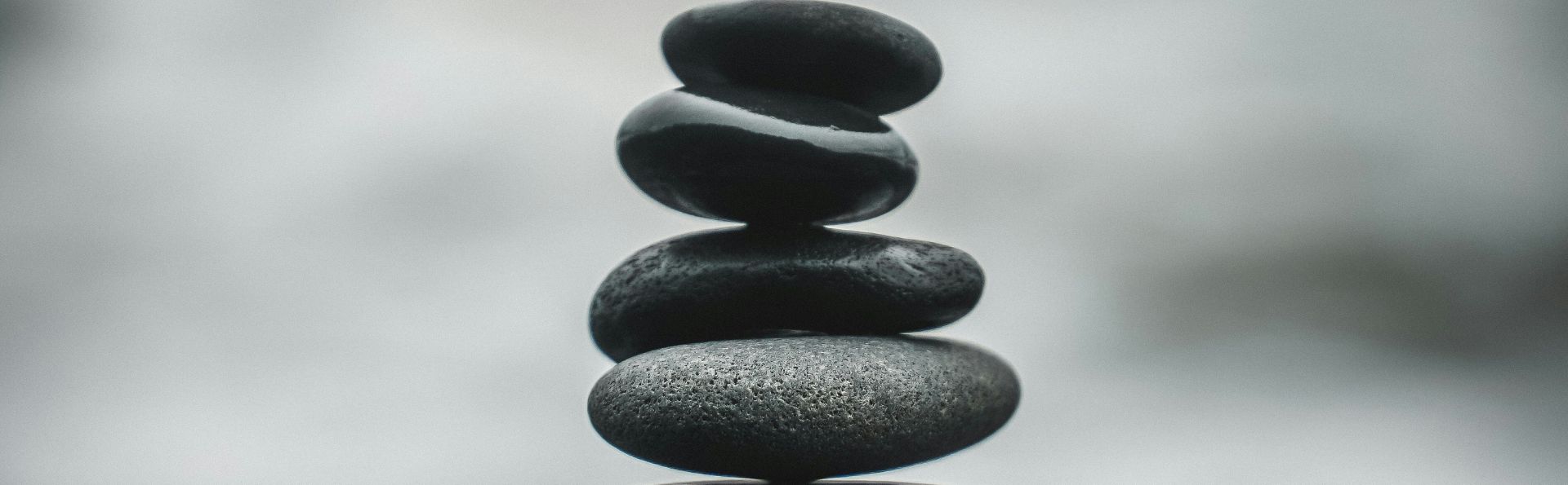 Balancing Sustainability & Logistics Costs