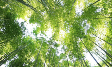 039 15 Jul 26 Sustainability www
