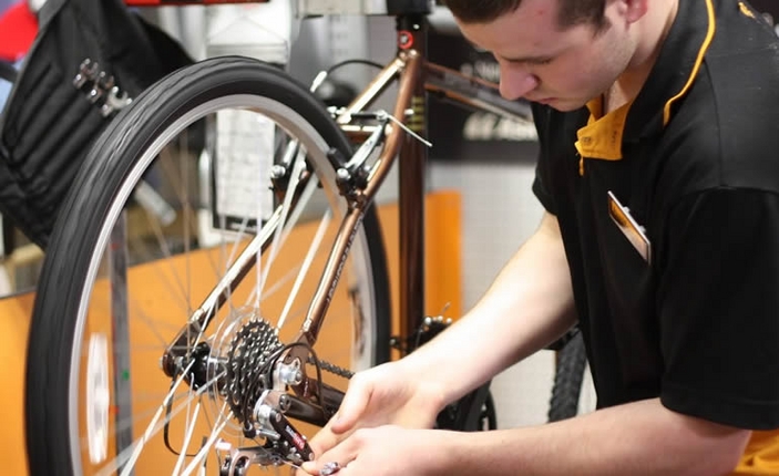 Halfords Orangisational Review