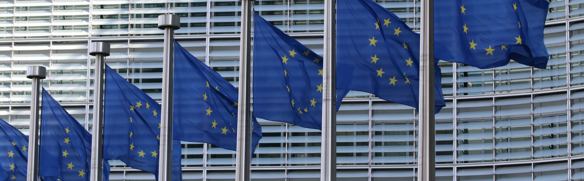 The EU; In or Out?