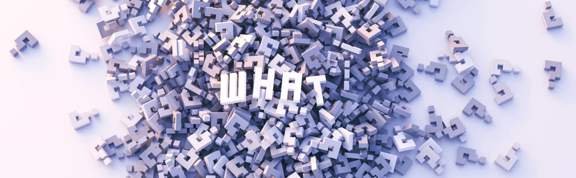 What makes a good project manager?