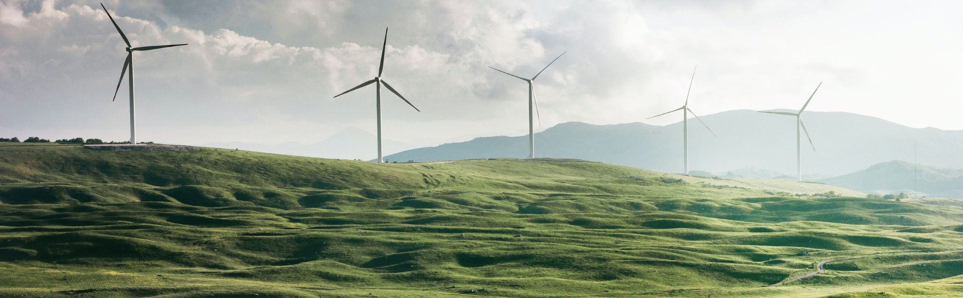 Sustainability - Meeting The Challenge?