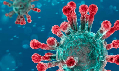 coronavirus logistics