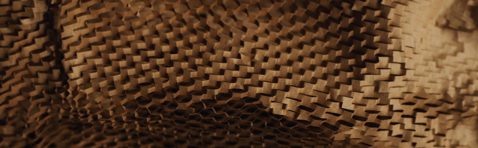 Net-Zero Supply Chains?