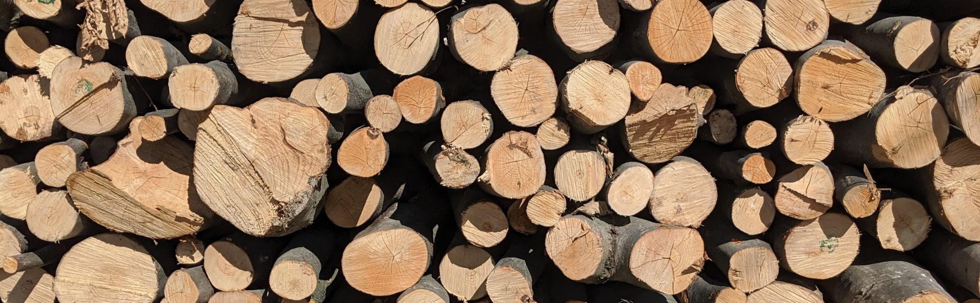 Brexit stockpiling warning: UK warehouses already 'full'