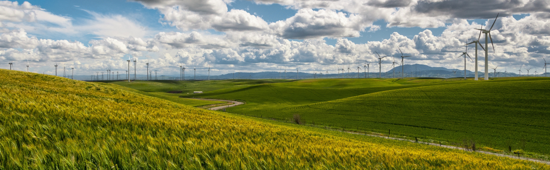 Sustainability: The Next Big Challenge