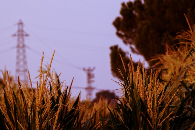 Driving cost down through commercial fleet telematics